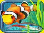 Fish Farm – Aquarium Simulator