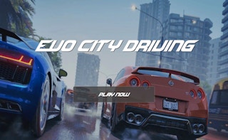 Image City Driving EVO